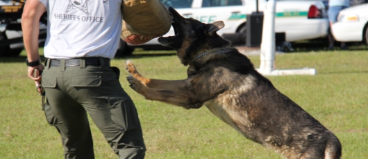 Indian River County Sheriff S Office